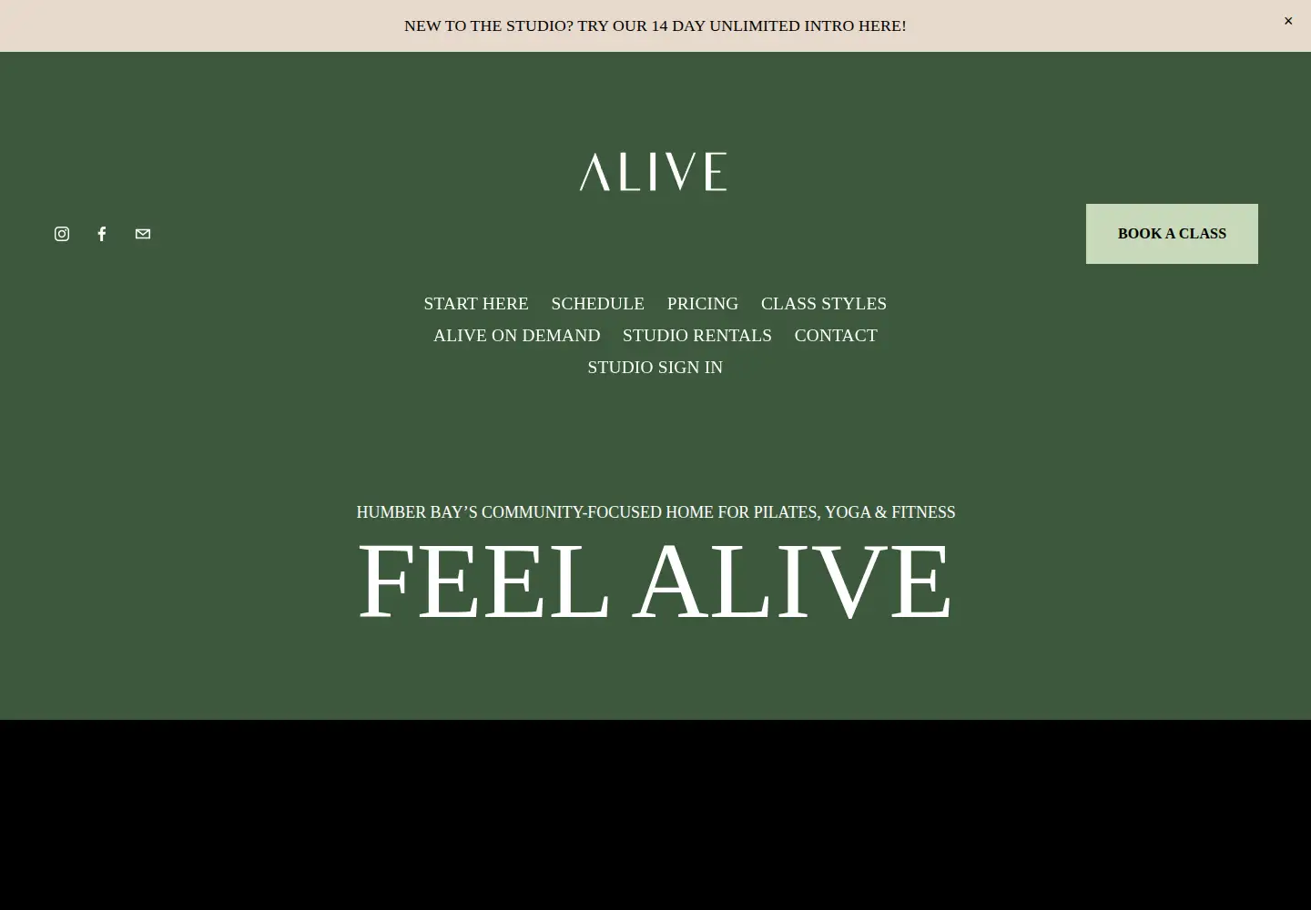 Screenshot of alivemovement.ca