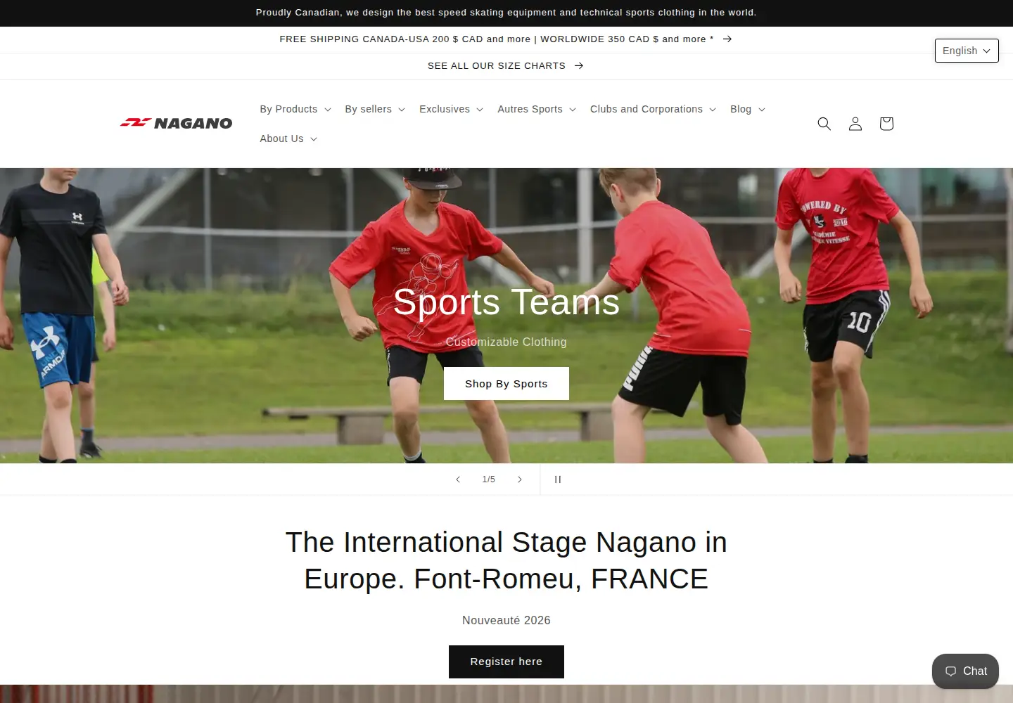 Screenshot of naganoskate.com