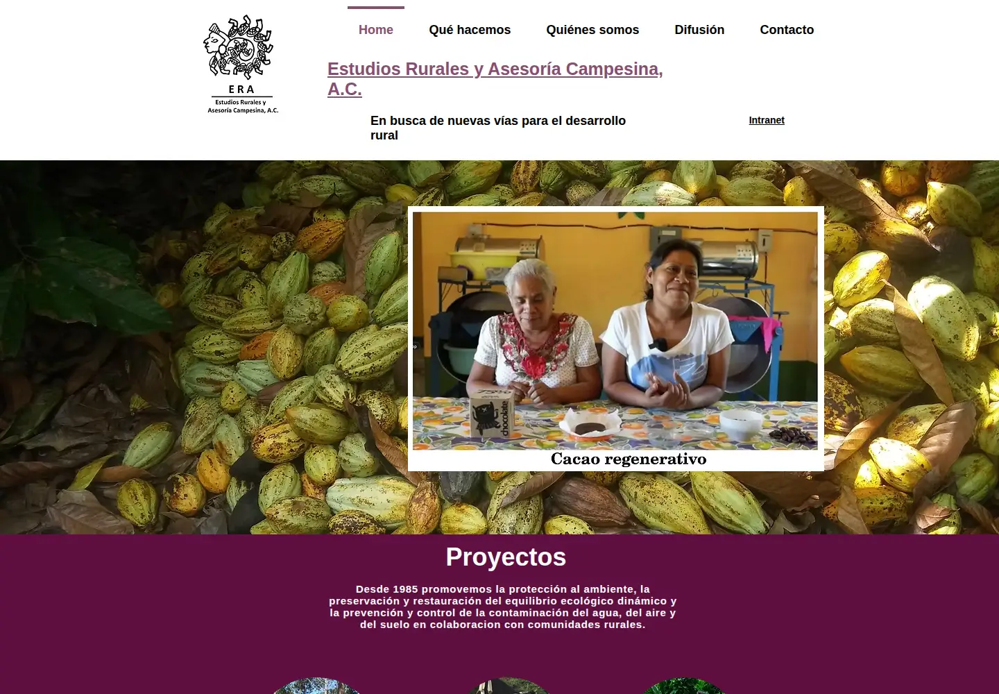 Screenshot of era-mx.org
