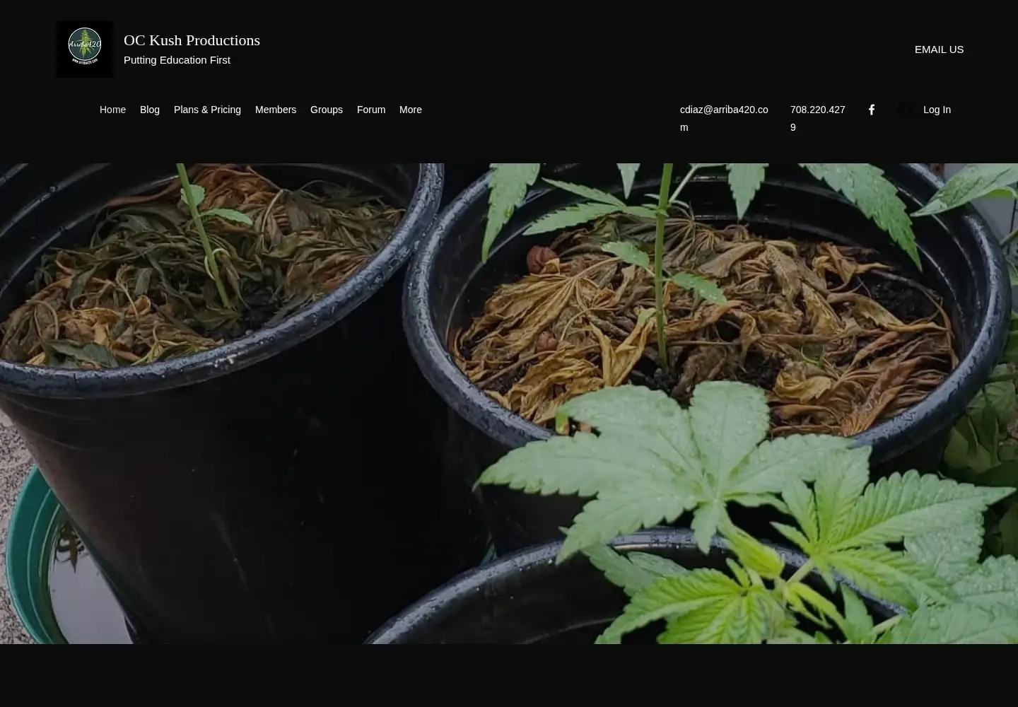 Screenshot of arriba420.com