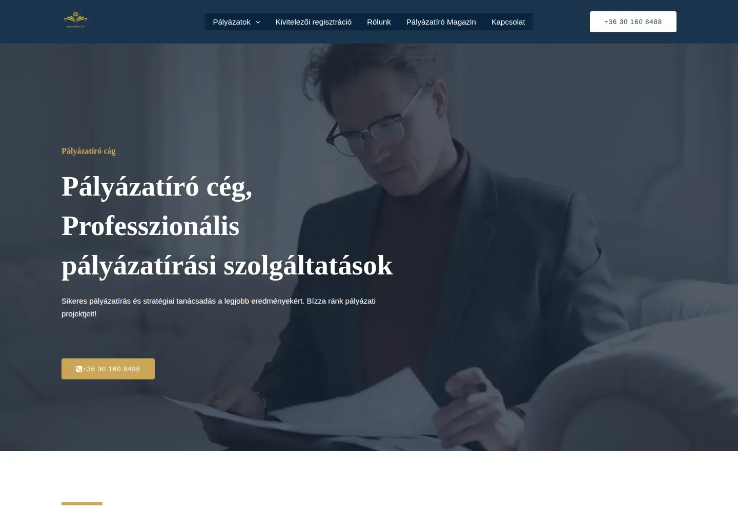 Screenshot of palyazatiroceg.hu