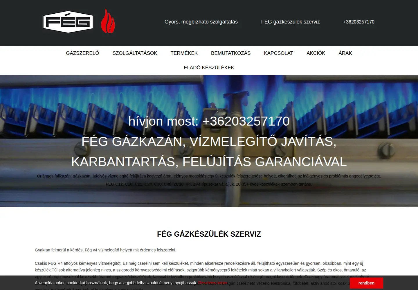 Screenshot of xn--gzszerelo-01a.hu