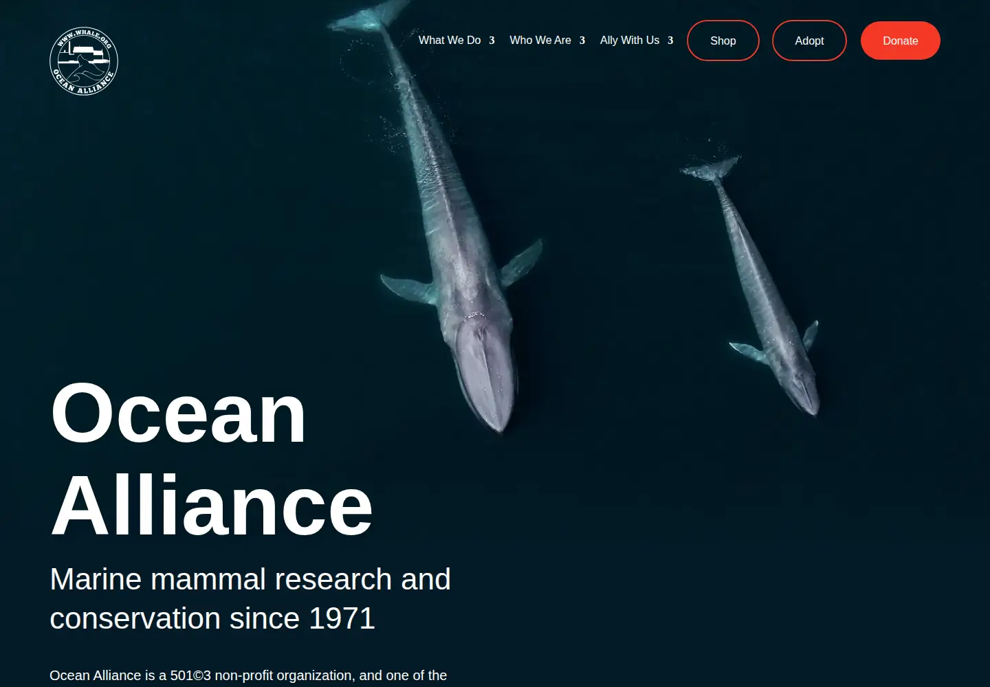 Captured homepage of whale.org in the current scan