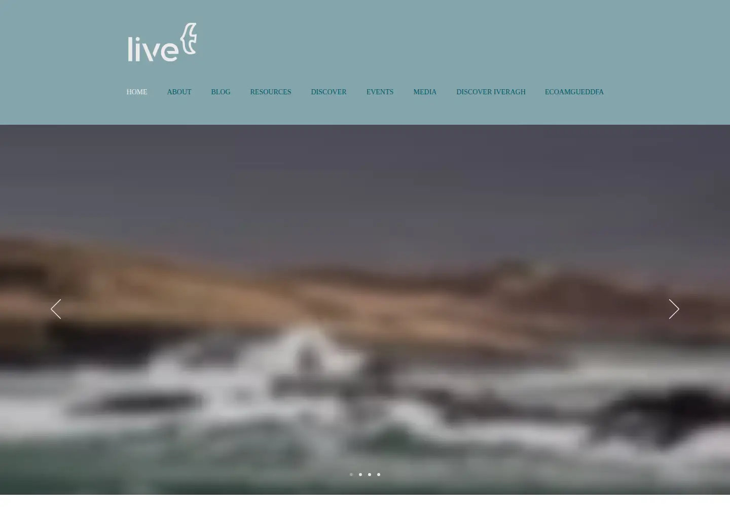 Screenshot of ecomuseumlive.eu
