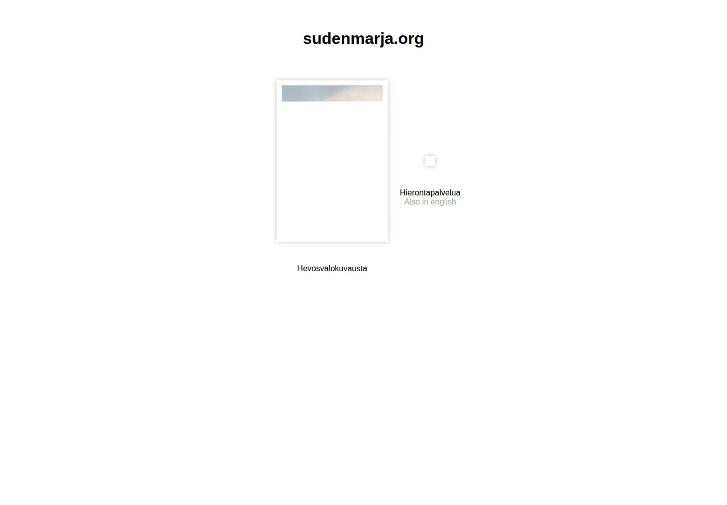 Captured homepage of sudenmarja.org in the current scan