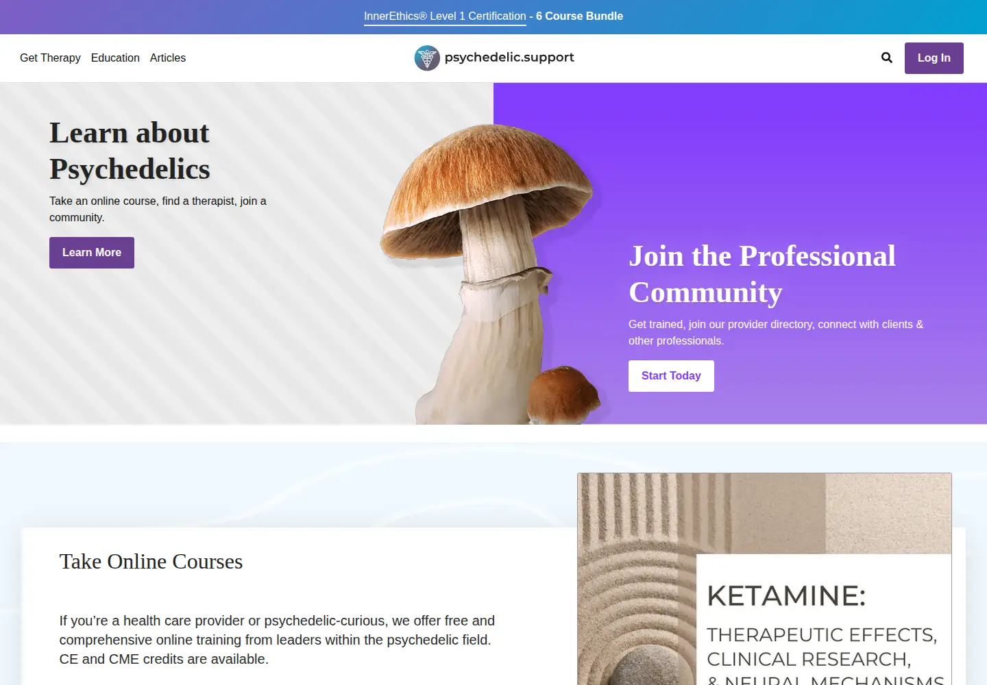 Captured homepage of psychedelic.support in the current scan