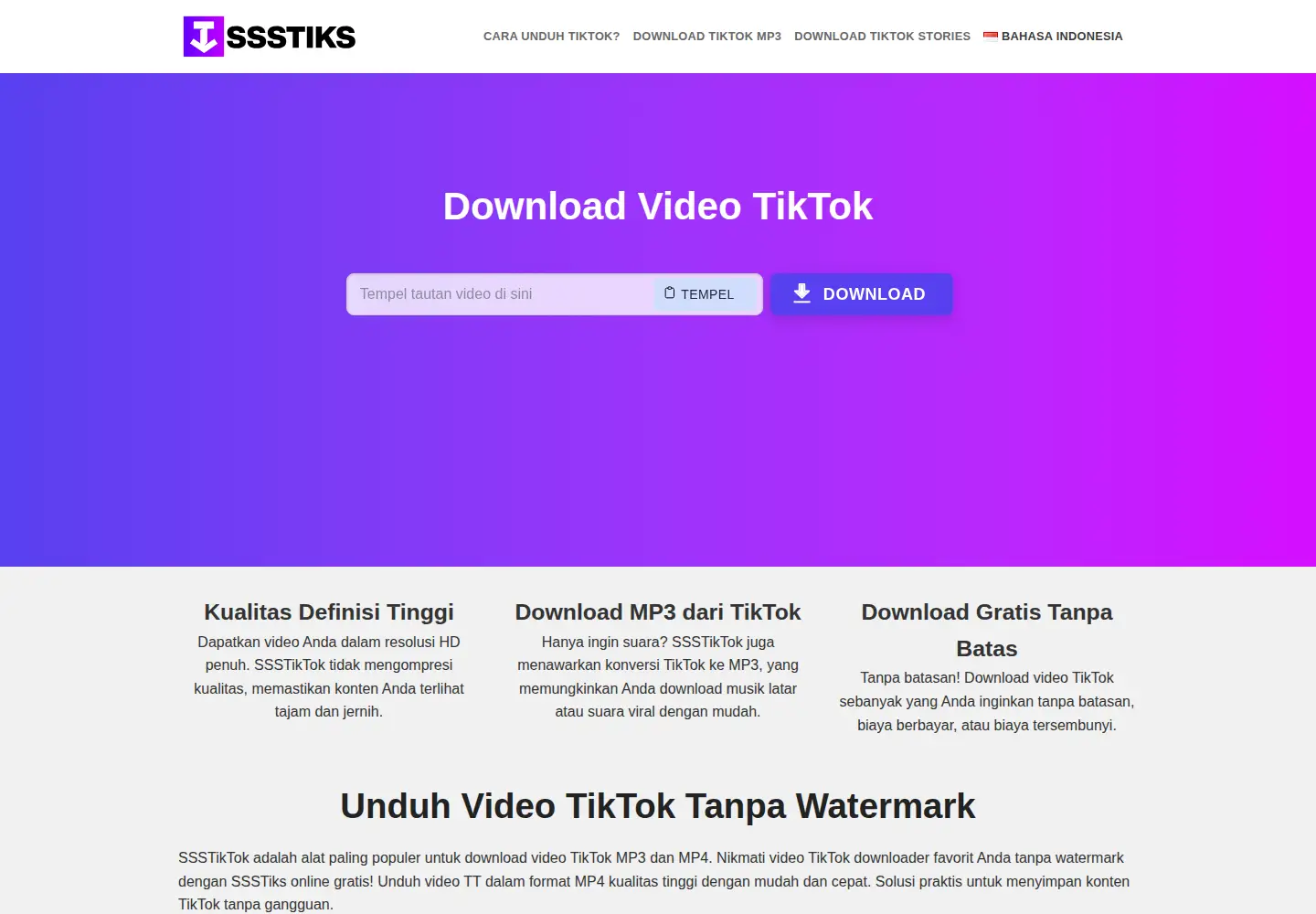 Captured homepage of ssstiks.io in the current scan