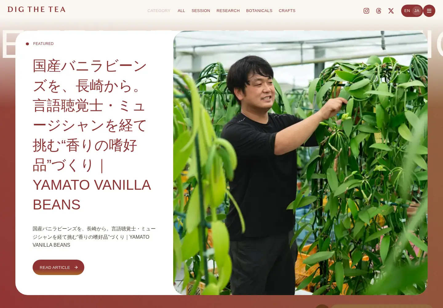 Captured homepage of digthetea.com in the current scan