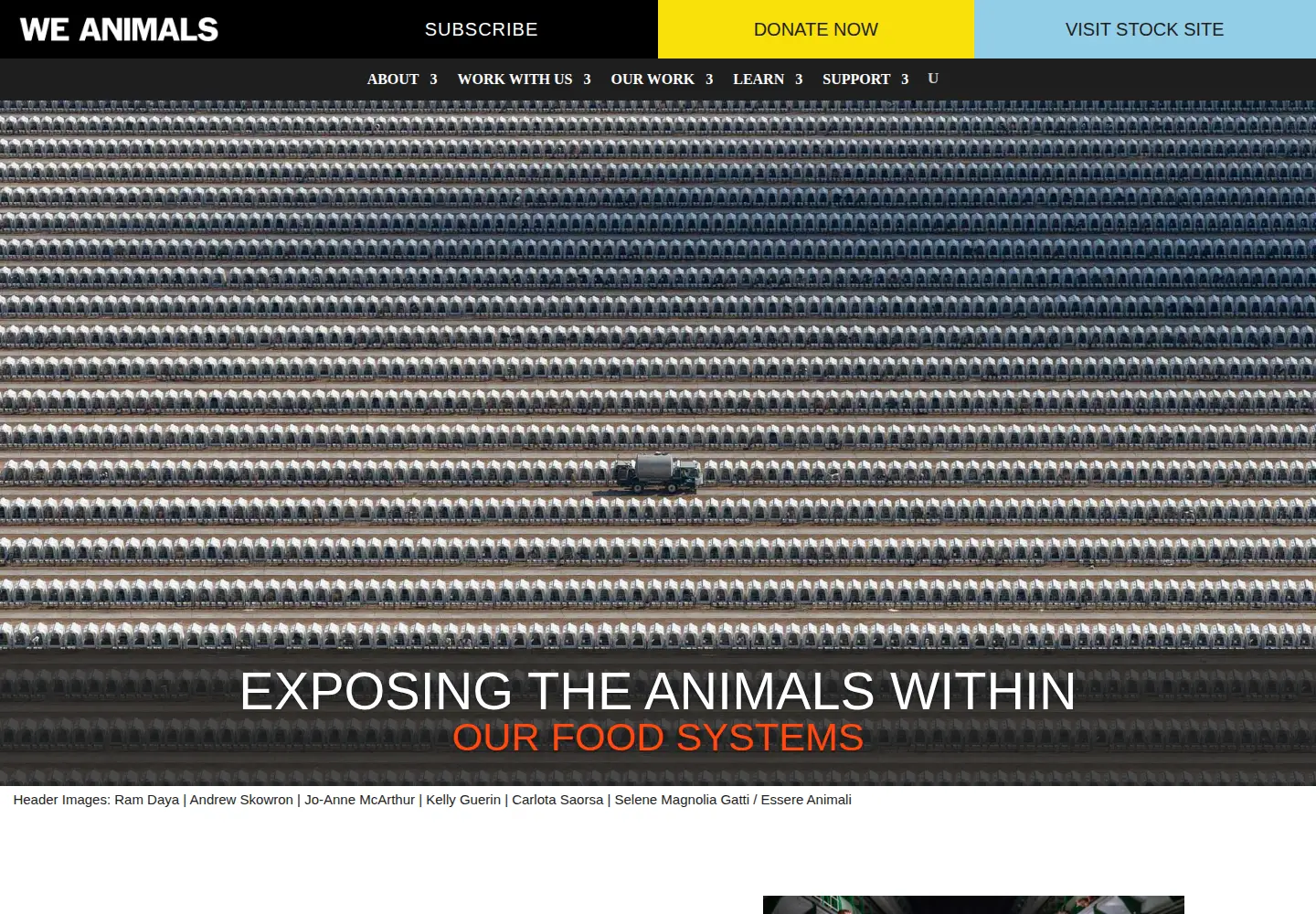 Captured homepage of weanimalsmedia.org in the current scan