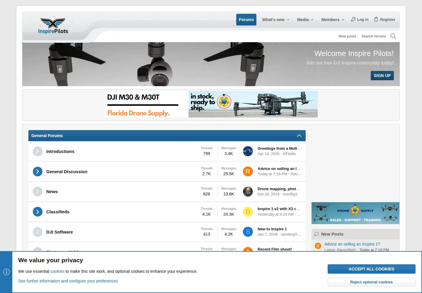 Captured homepage of inspirepilots.com in the current scan