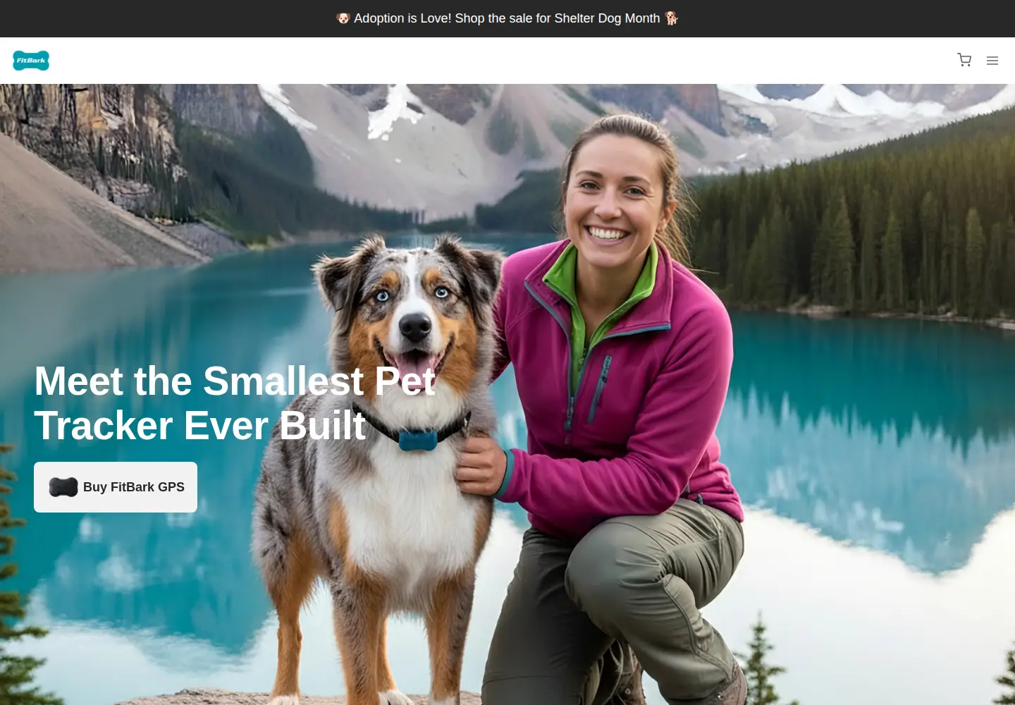 Screenshot of fitbark.com