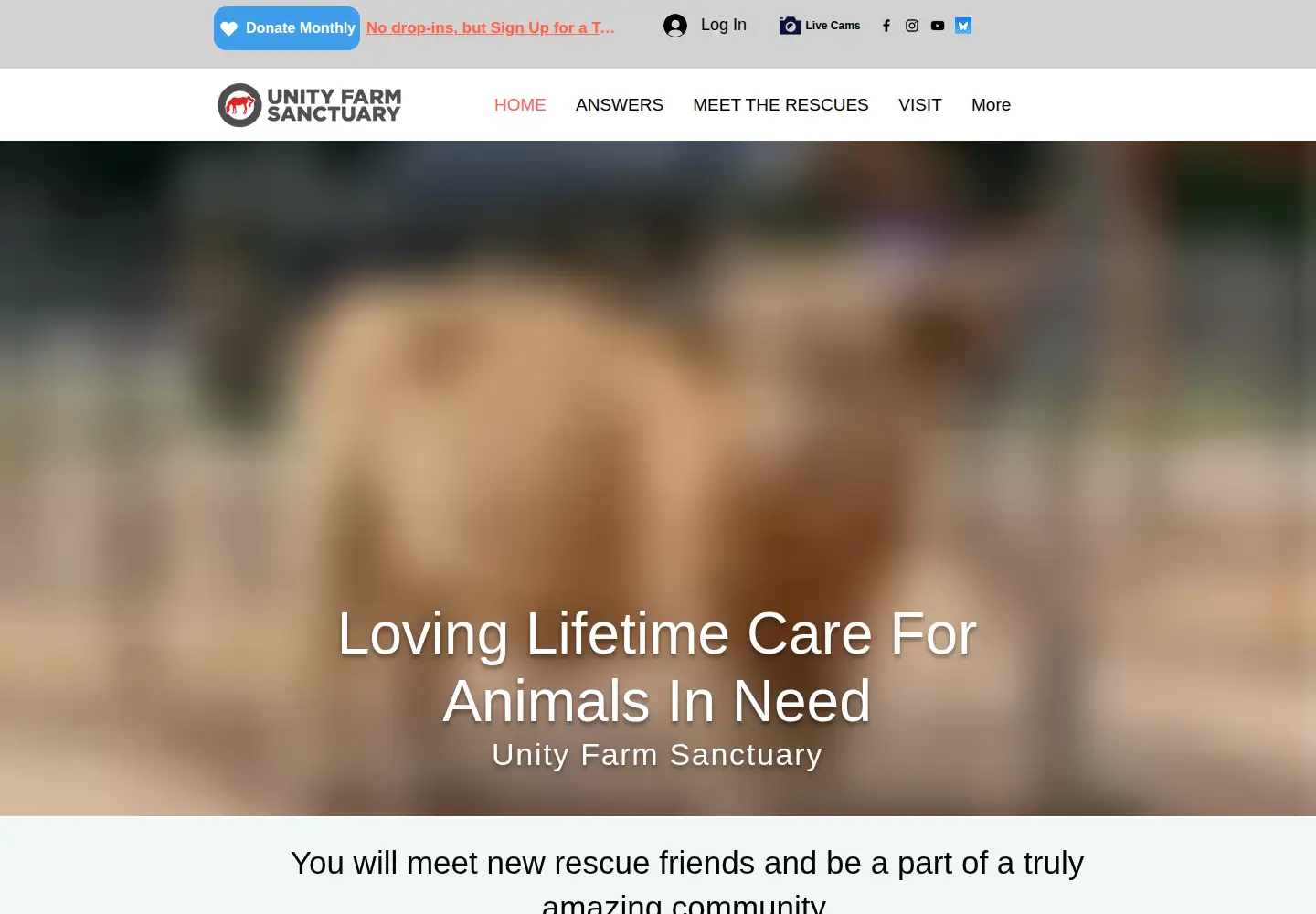 Captured homepage of unityfarmsanctuary.org in the current scan