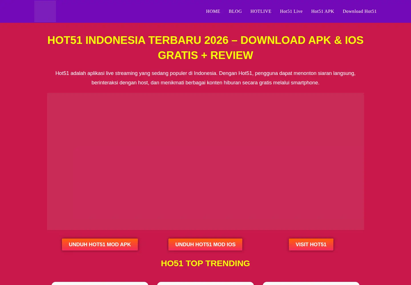 Captured homepage of hot51apk.com in the current scan
