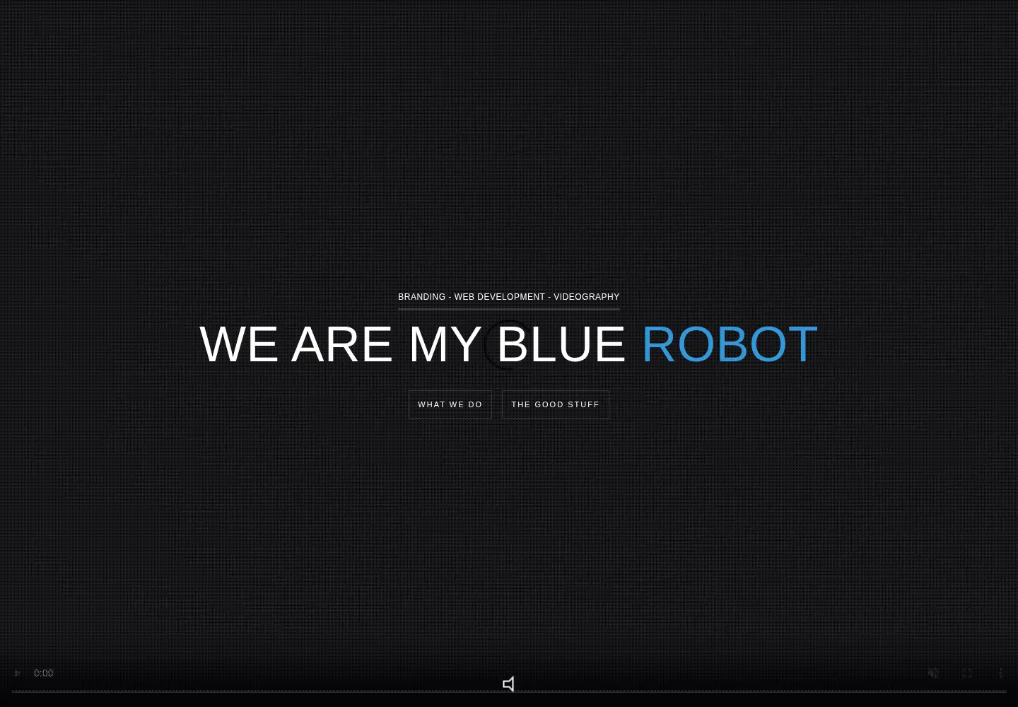 Captured homepage of mybluerobot.com in the current scan