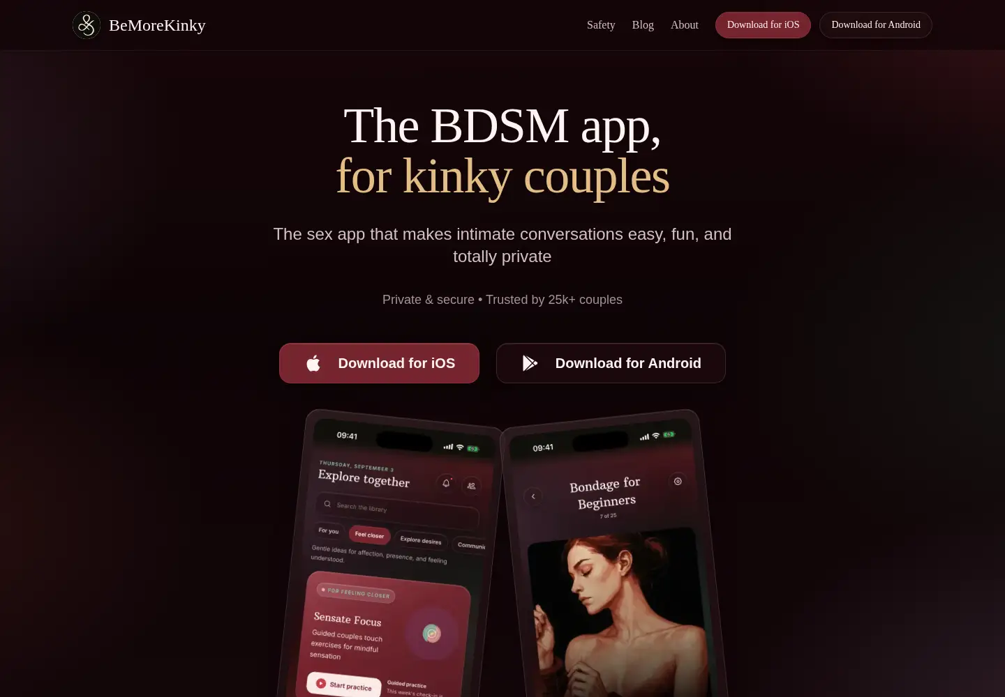 Screenshot of bemorekinky.com