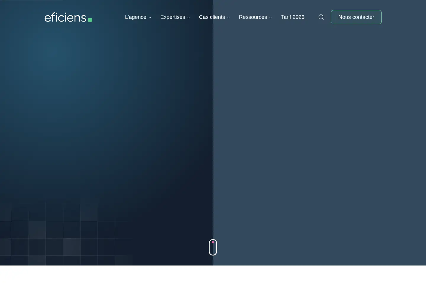 Screenshot of eficiens.com