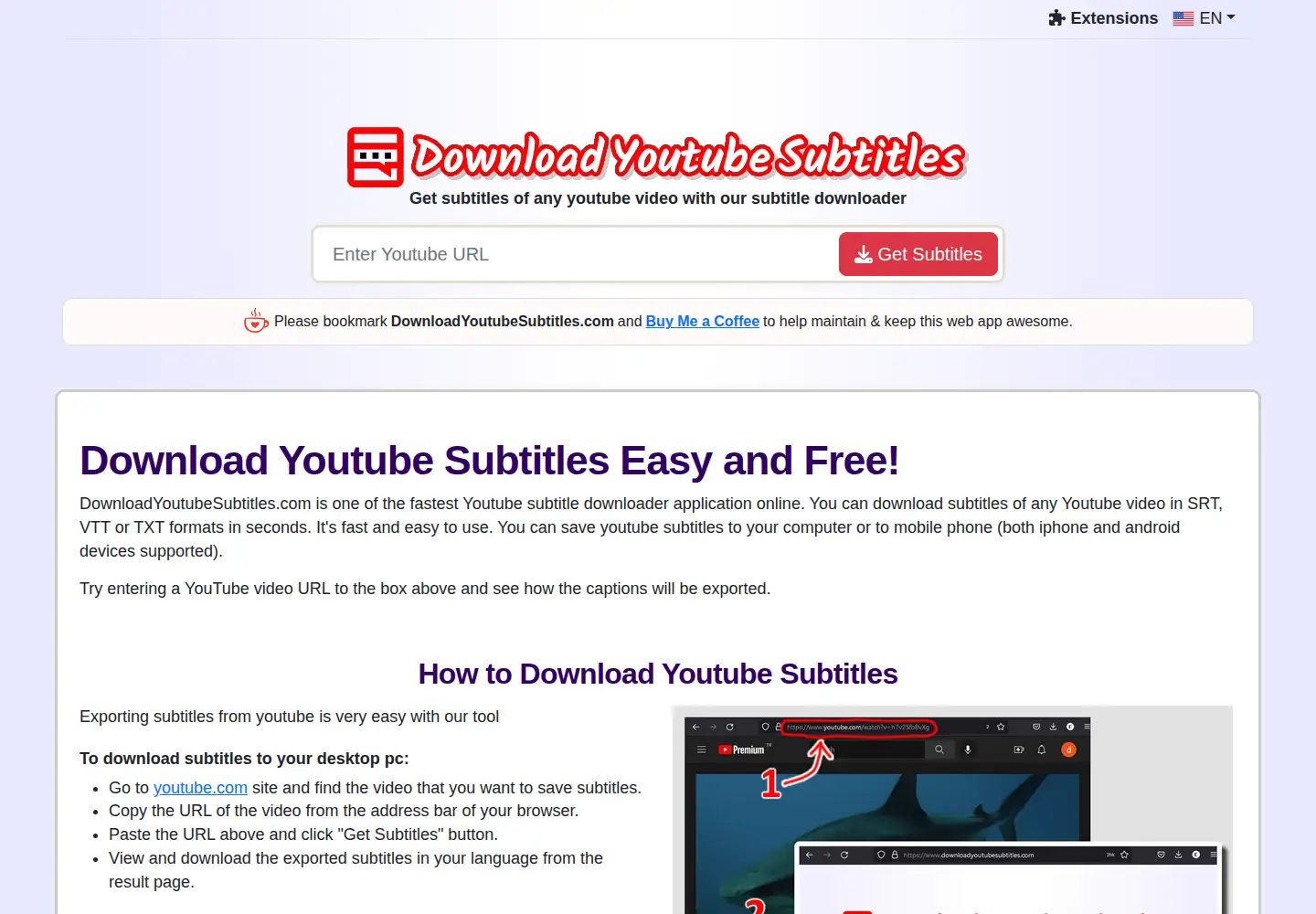 Captured homepage of downloadyoutubesubtitles.com in the current scan