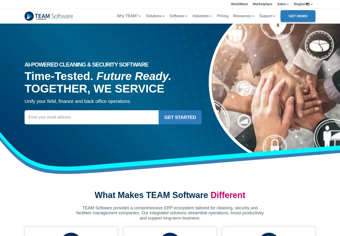 Captured homepage of teamsoftware.com in the current scan