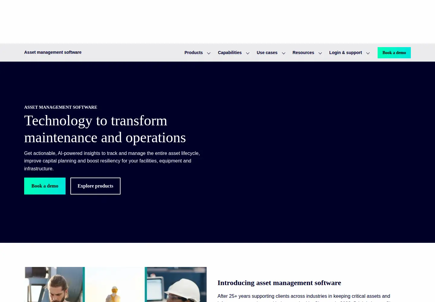 Captured homepage of brightlysoftware.com in the current scan