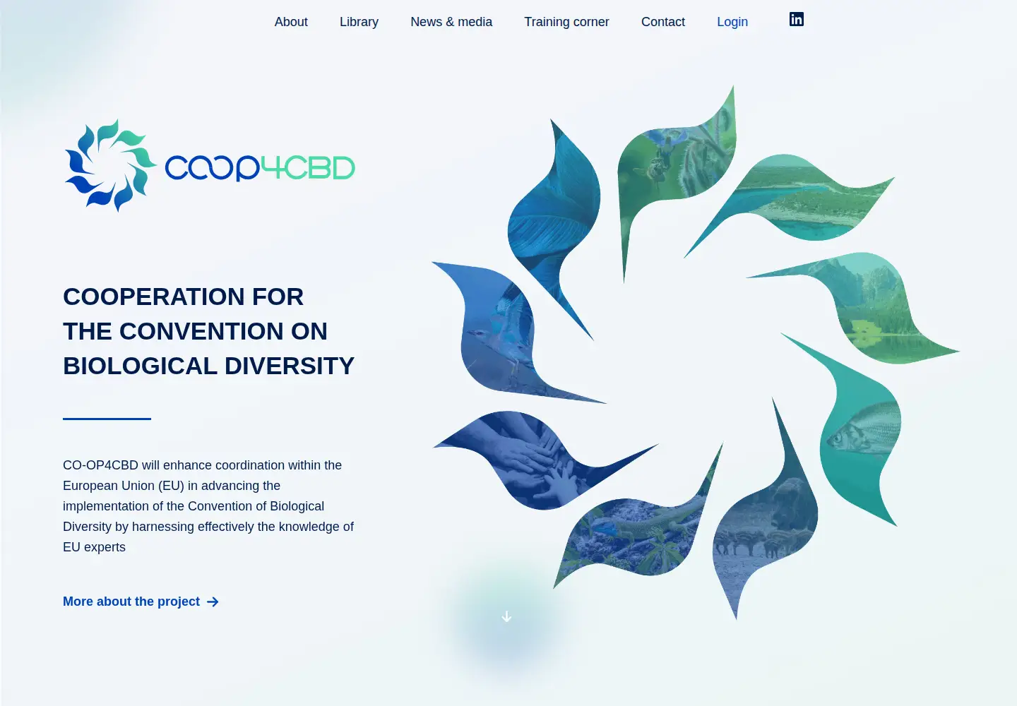 Captured homepage of coop4cbd.eu in the current scan