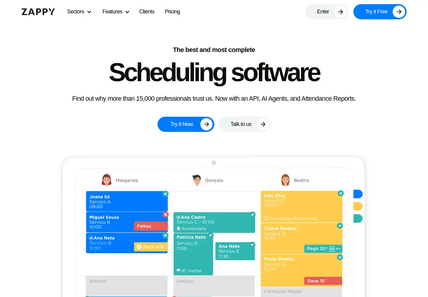 Screenshot of zappysoftware.com