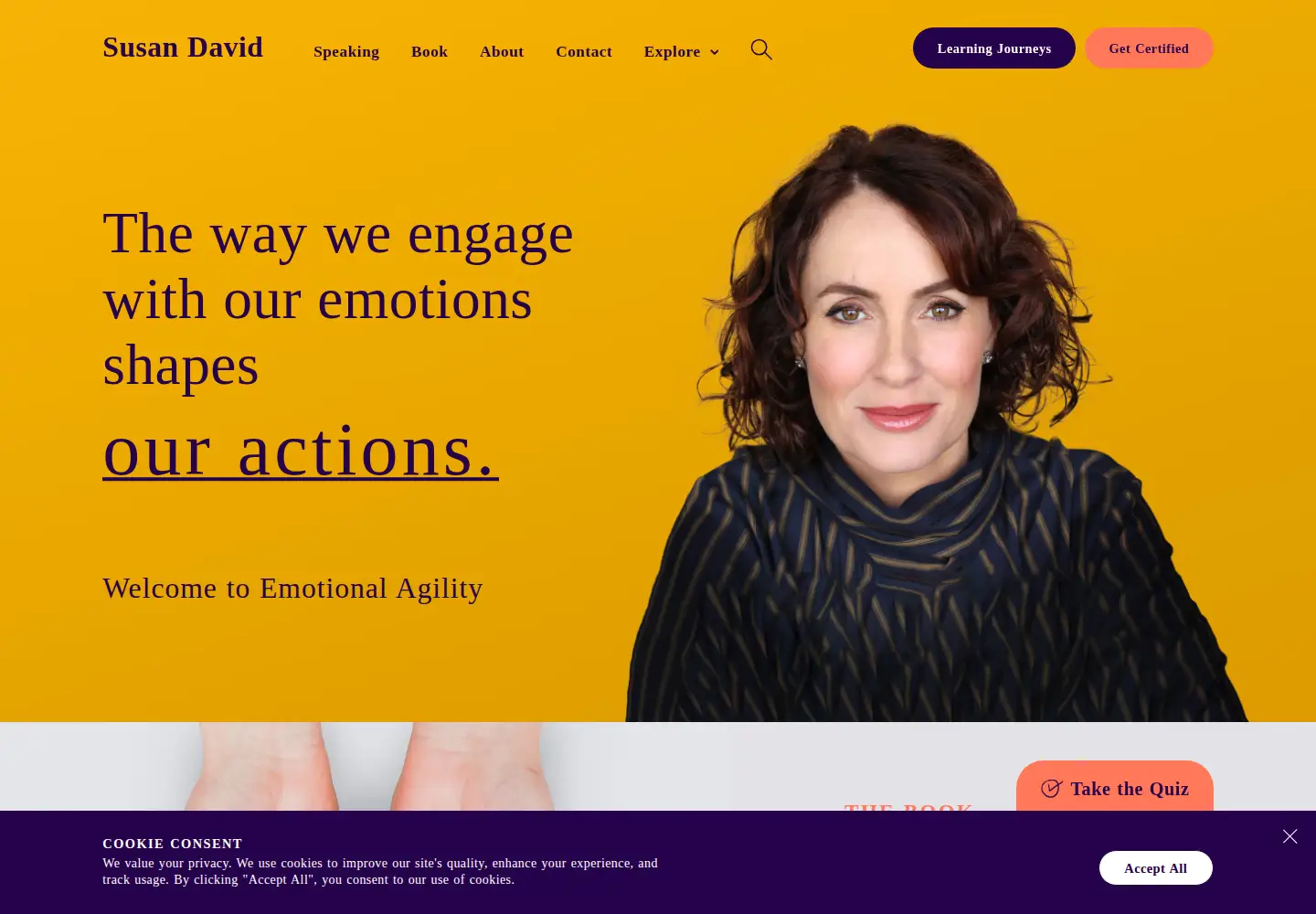 Captured homepage of susandavid.com in the current scan