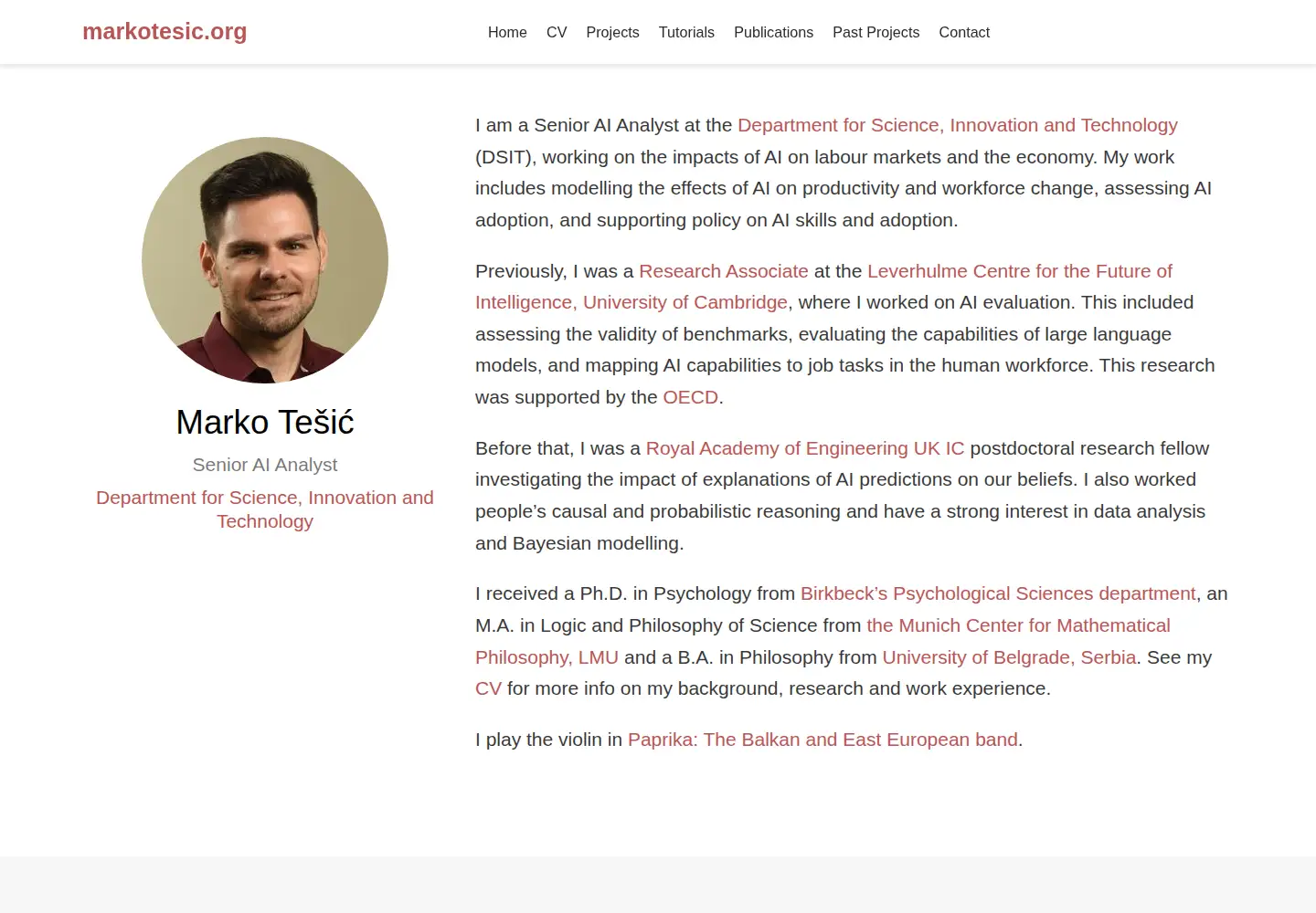 Screenshot of markotesic.org
