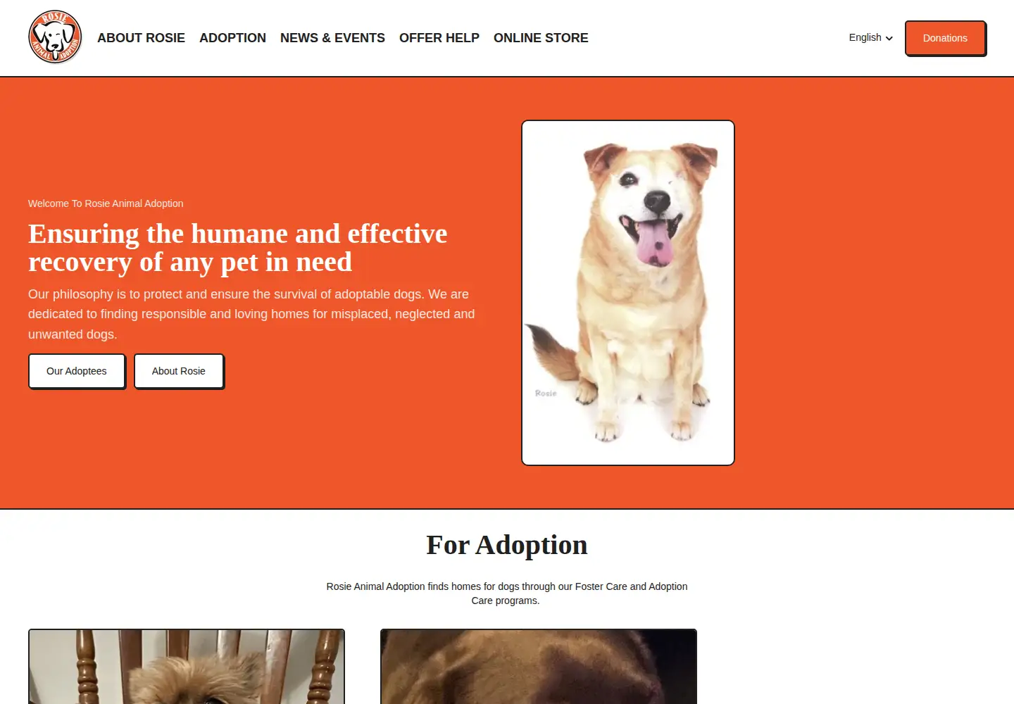 Captured homepage of rosieanimaladoption.ca in the current scan