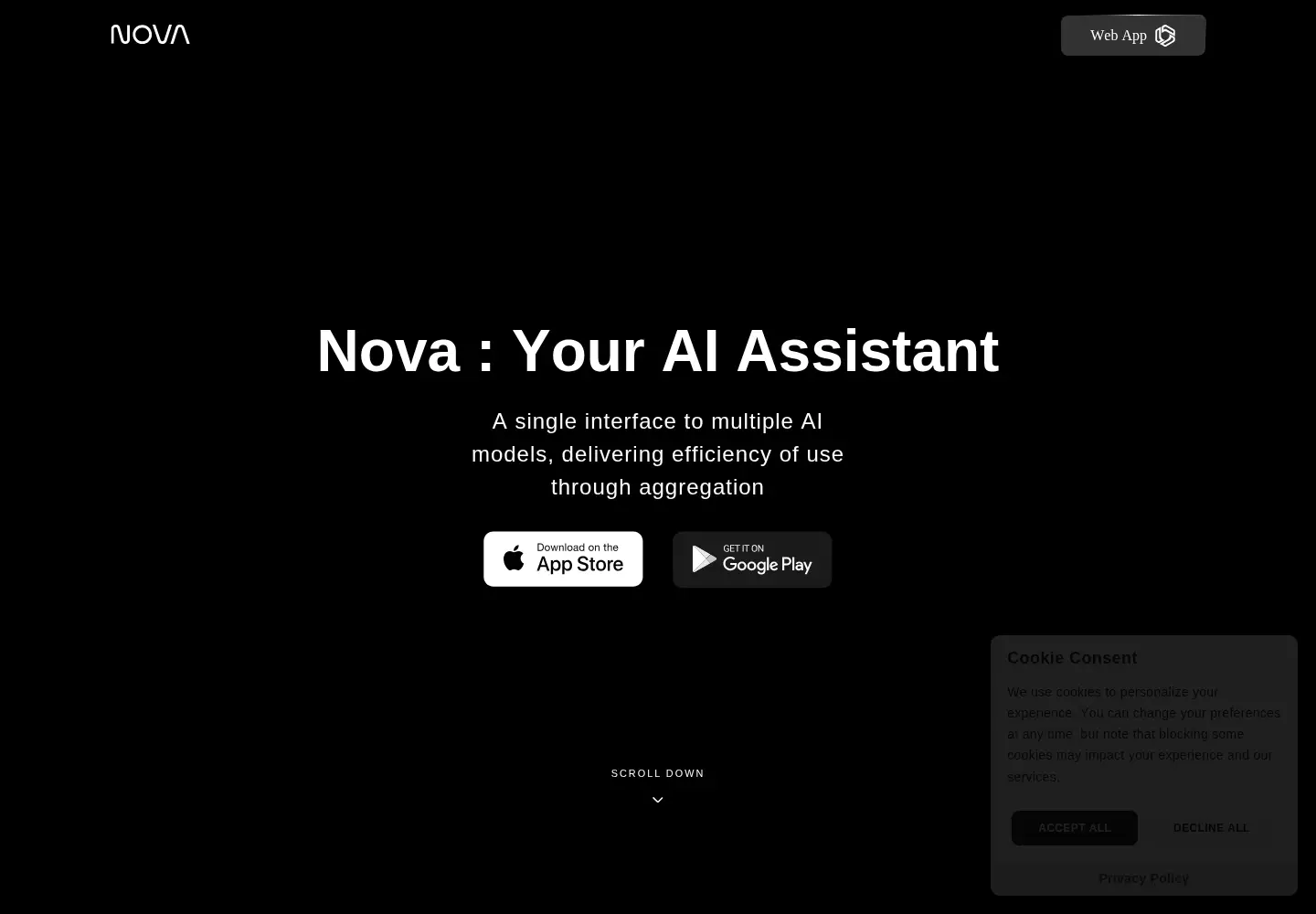 Captured homepage of novaapp.ai in the current scan