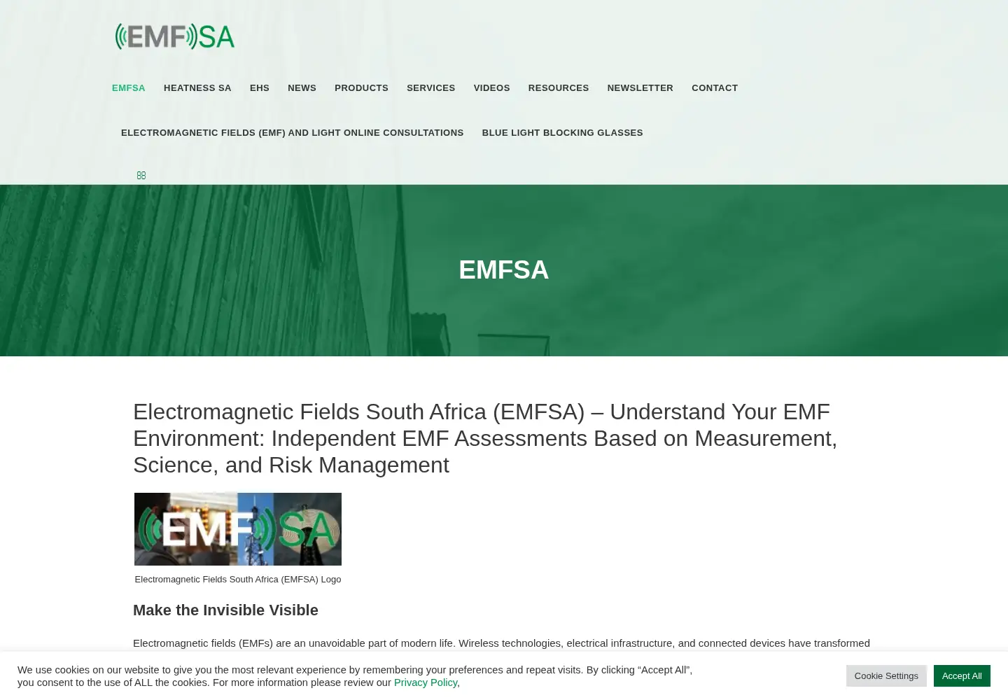 Captured homepage of emfsa.co.za in the current scan