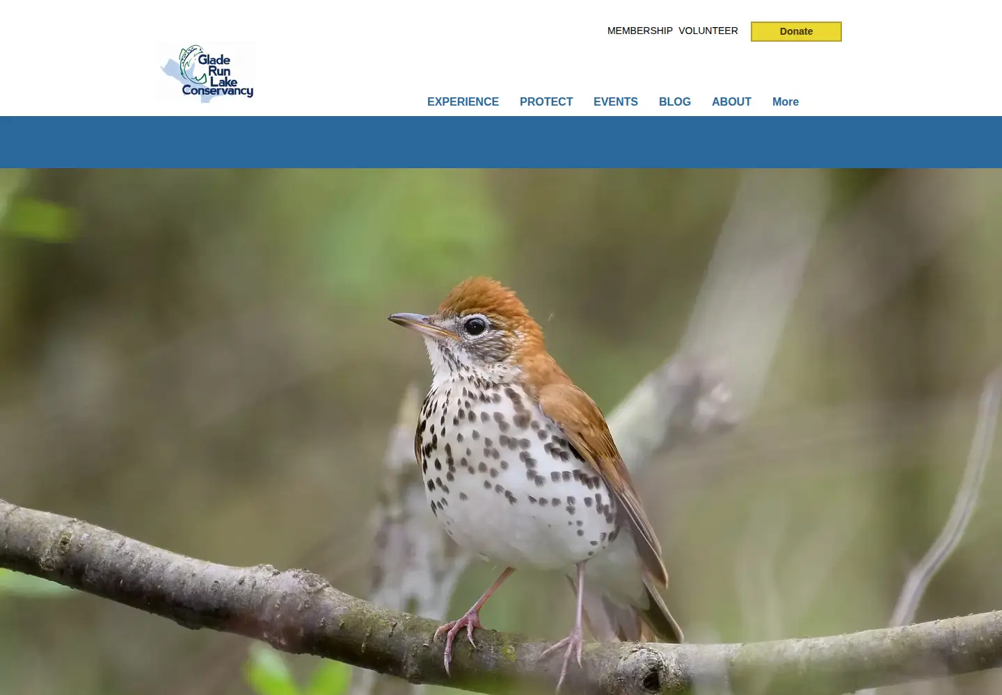 Screenshot of gladerunlakeconservancy.org