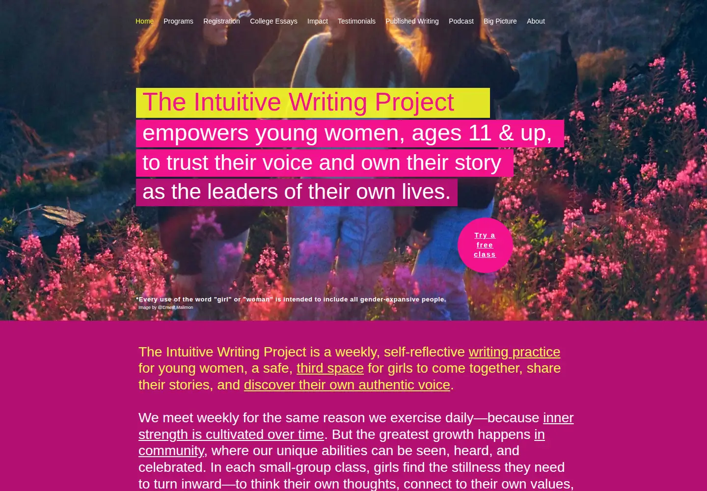 Captured homepage of intuitivewritingproject.org in the current scan