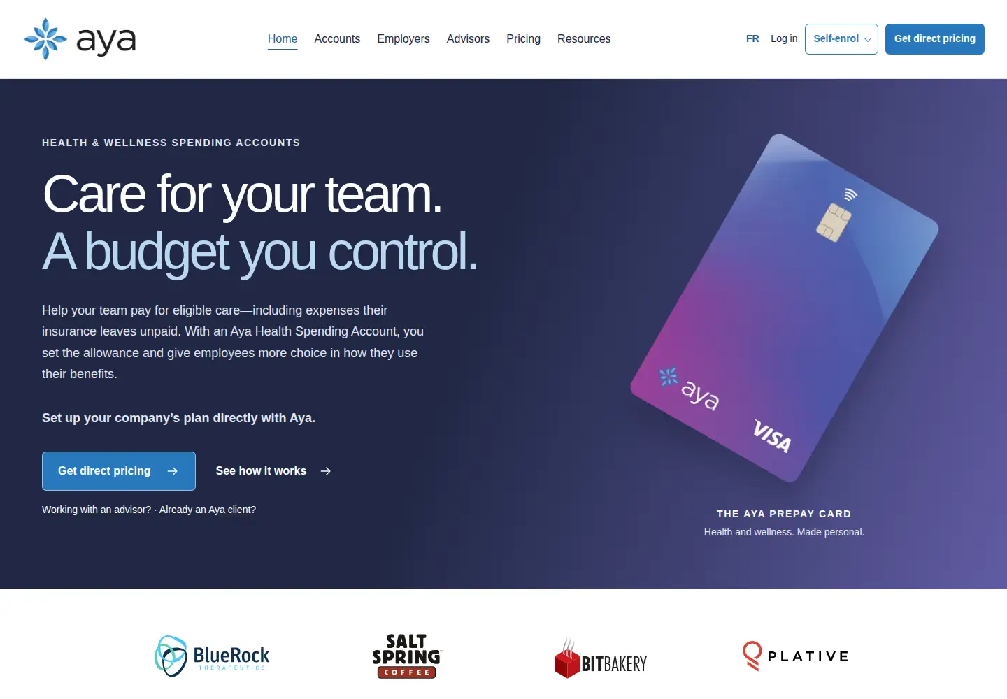 Captured homepage of ayacare.com in the current scan