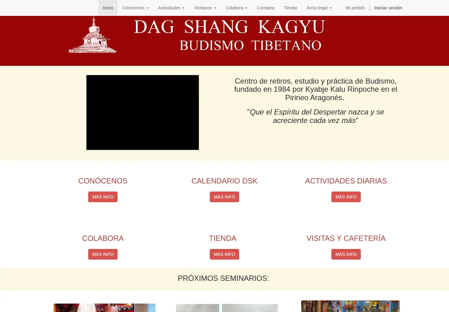 Screenshot of dskpanillo.org