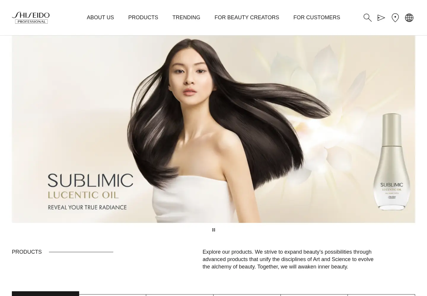 Screenshot of shiseido-professional.com