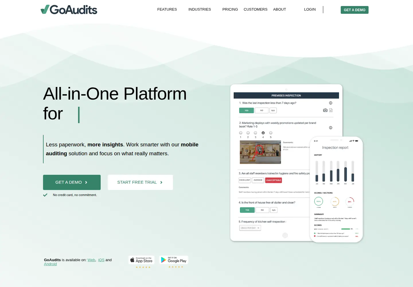 Captured homepage of goaudits.com in the current scan