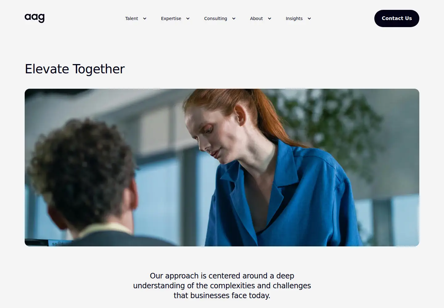 Screenshot of alphaapexgroup.com