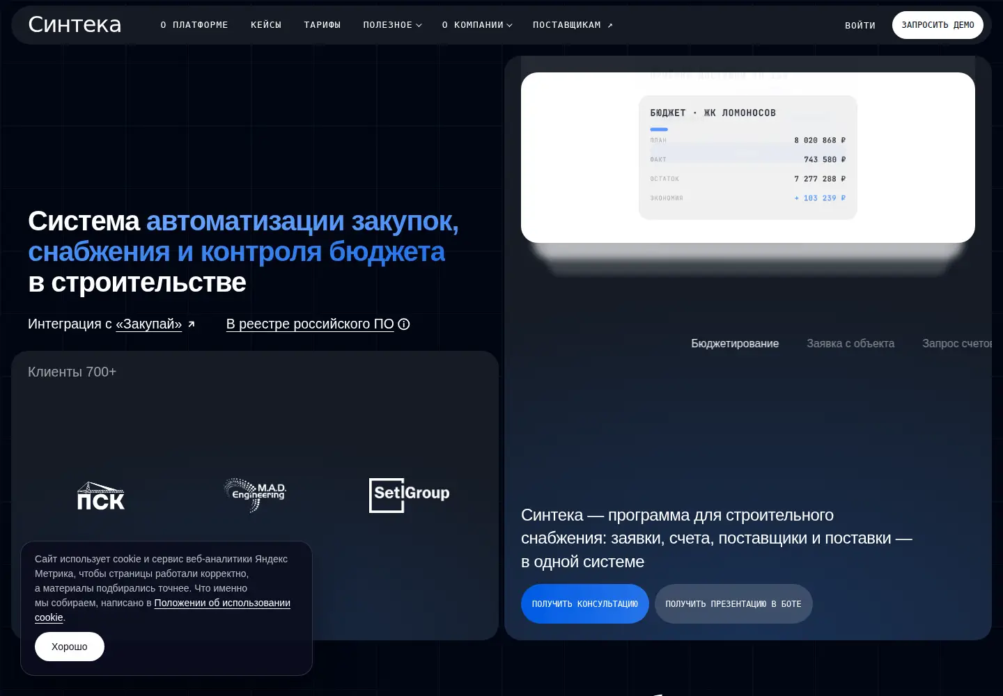 Screenshot of cynteka.ru