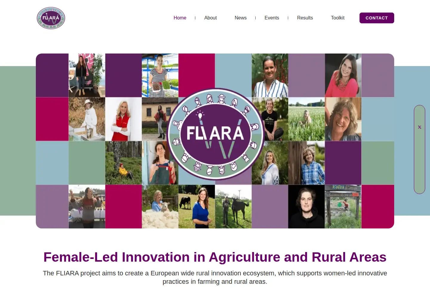 Captured homepage of fliara.eu in the current scan