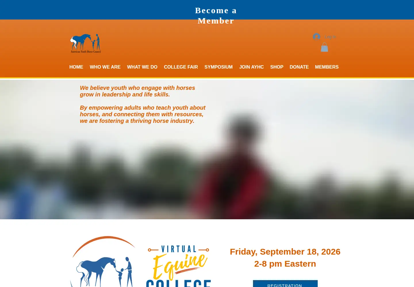 Screenshot of ayhc.com