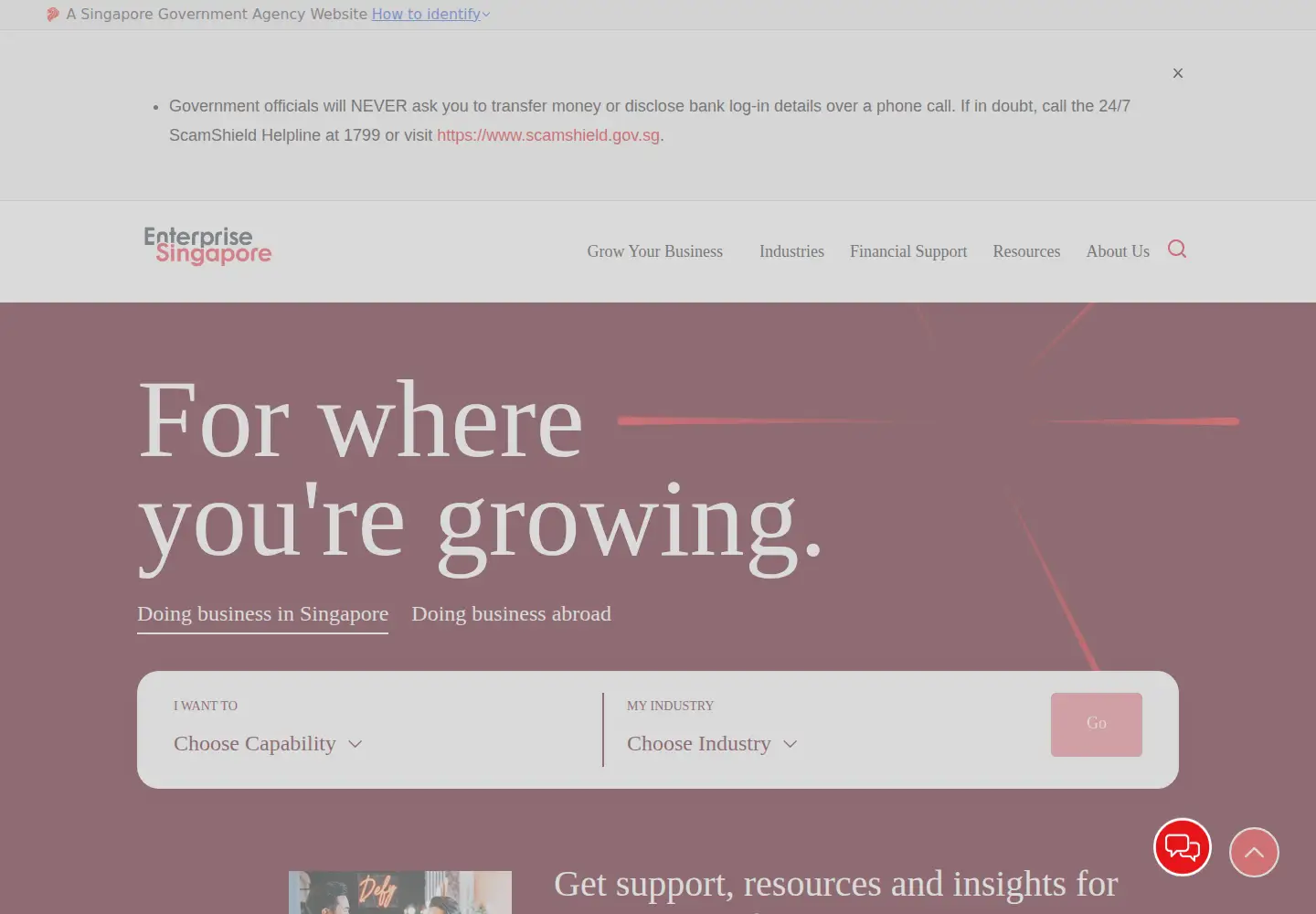 Screenshot of enterprisesg.gov.sg
