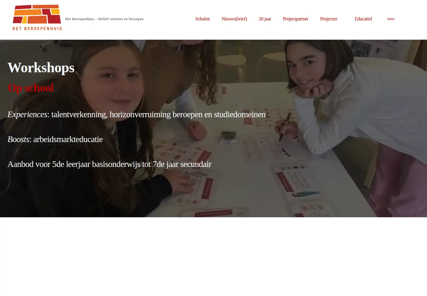 Screenshot of beroepenhuis.be
