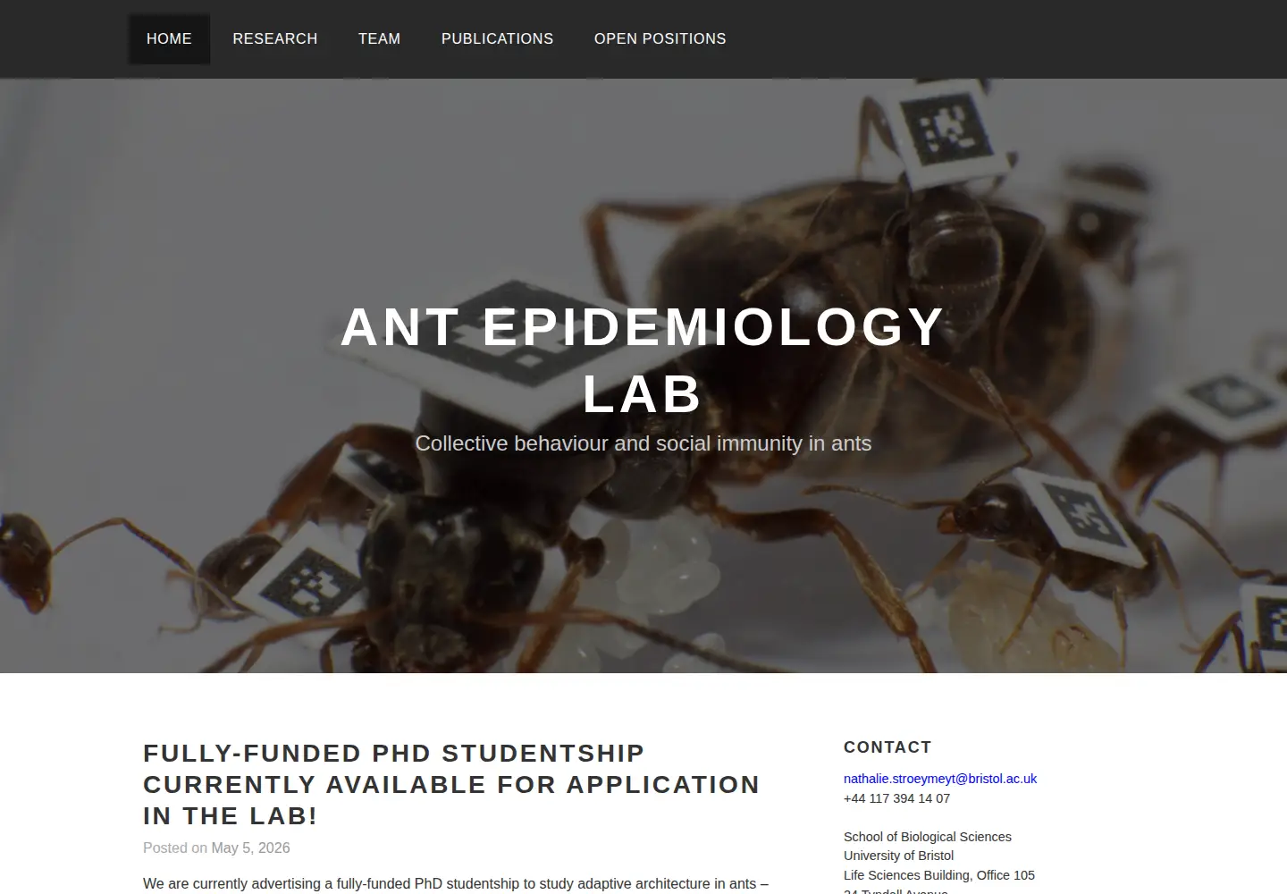 Screenshot of stroeymeyt-lab.co.uk