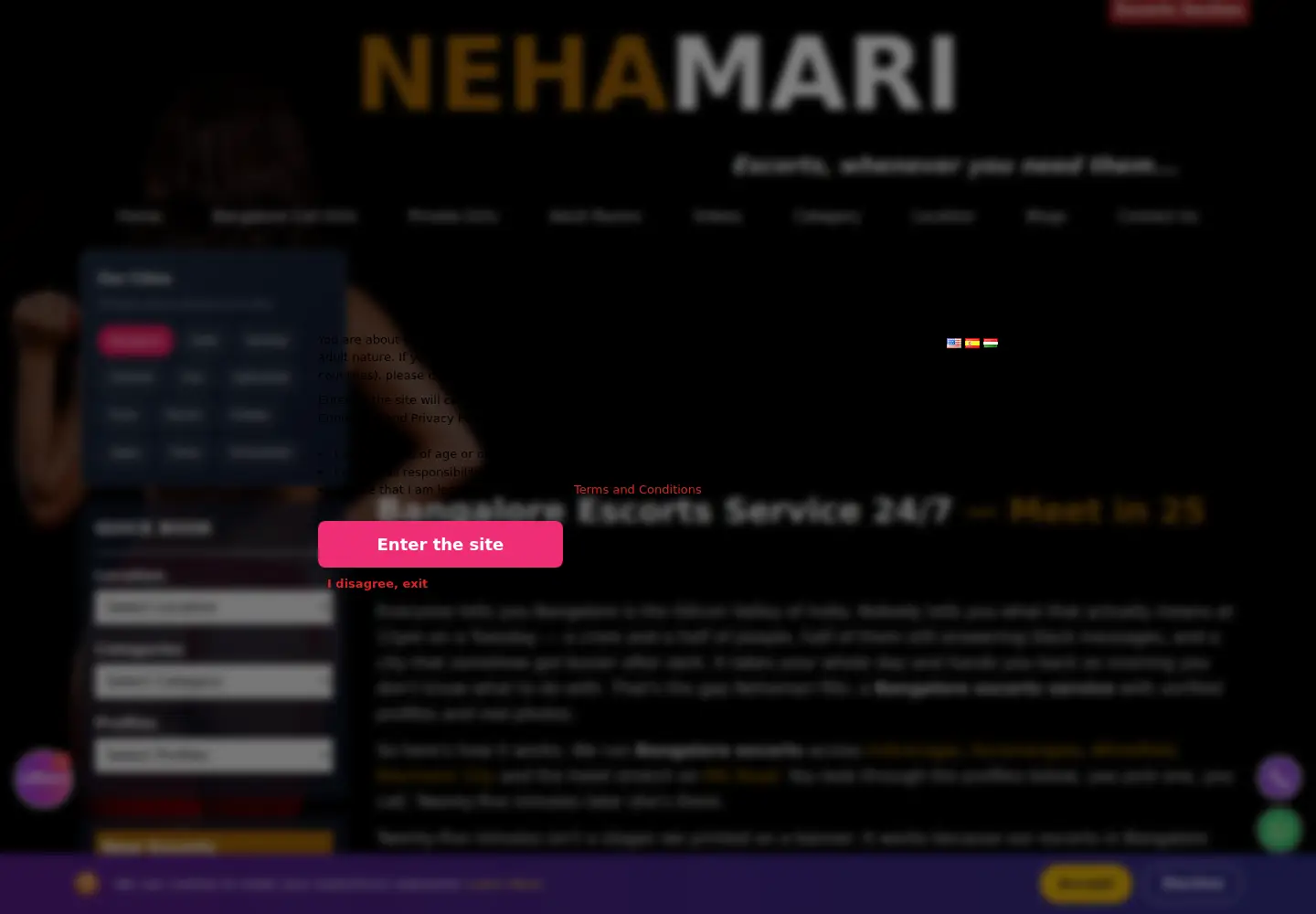 Screenshot of nehamari.com