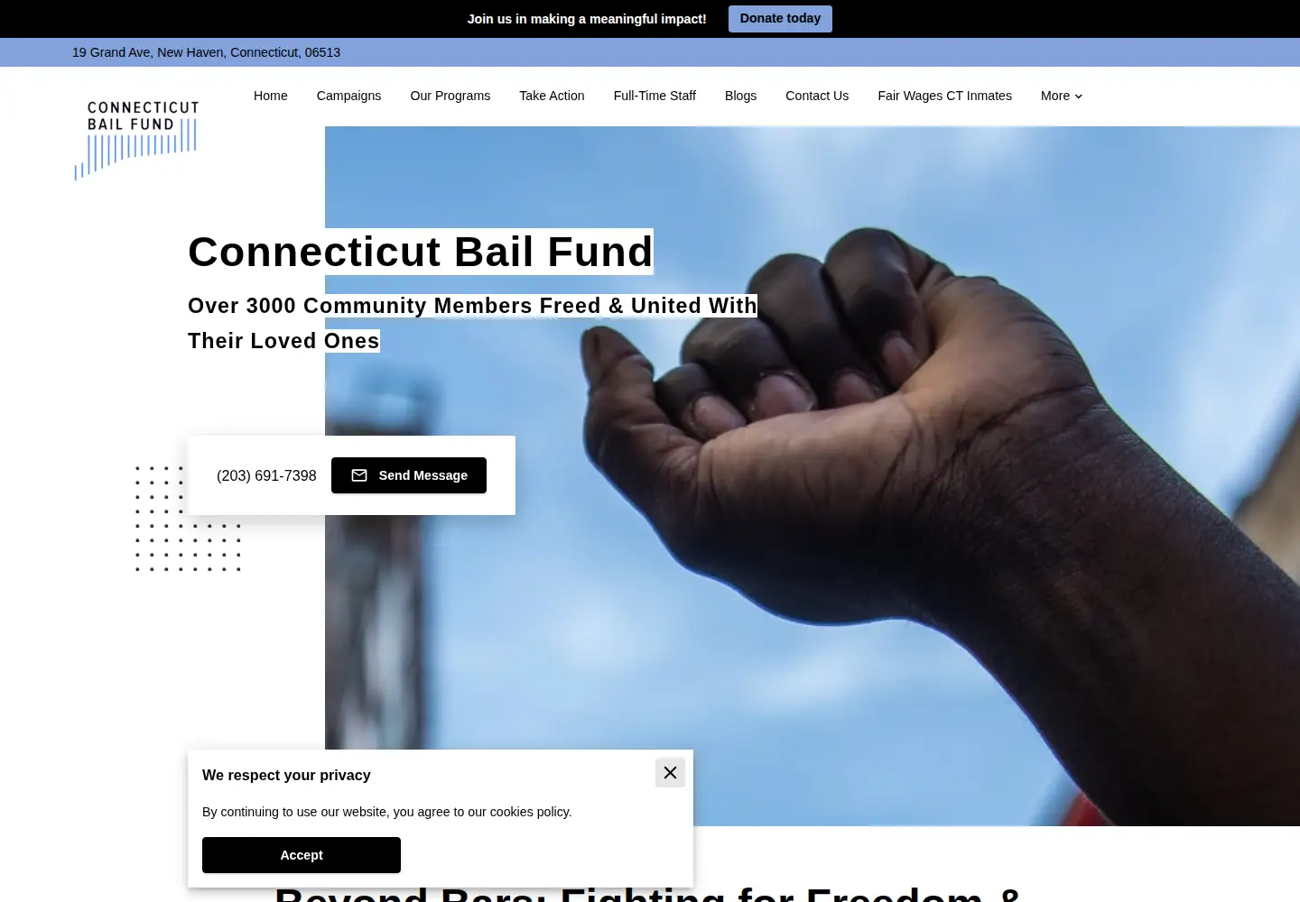 Screenshot of ctbailfund.org