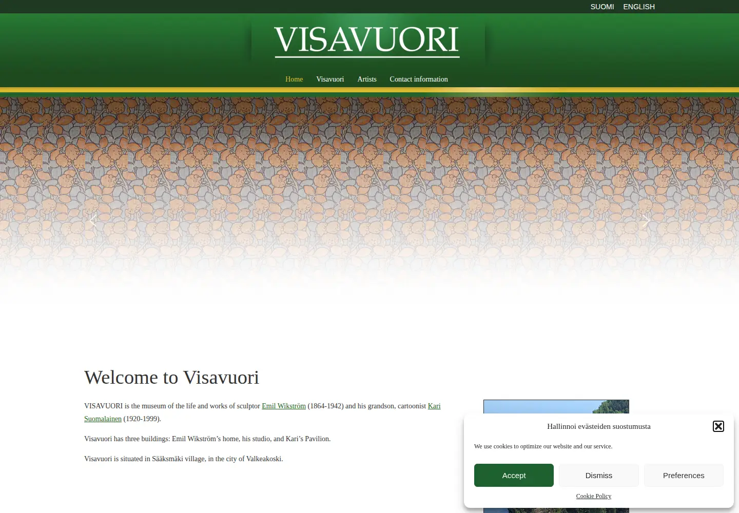 Screenshot of visavuori.com