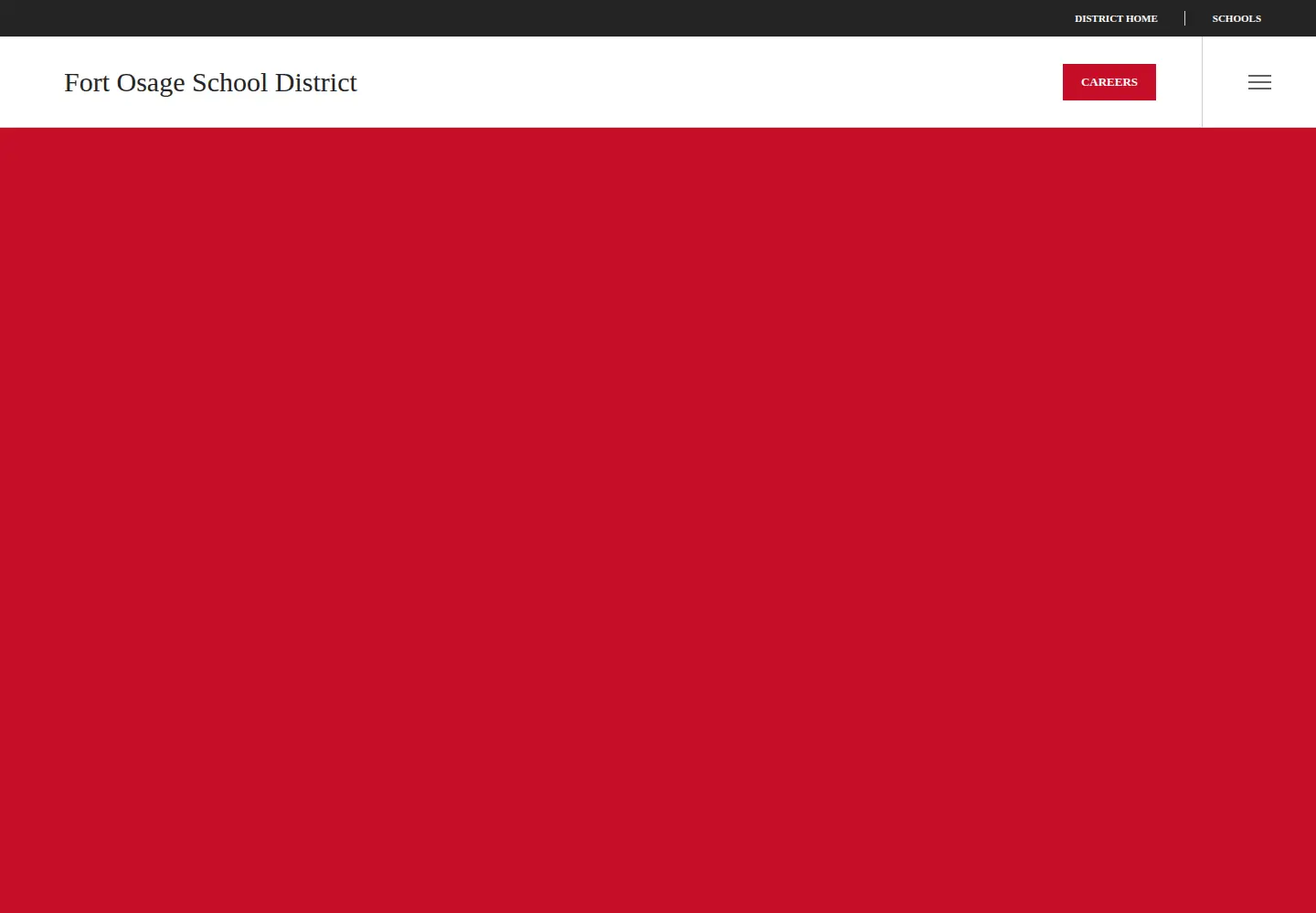 Captured homepage of fortosage.net in the current scan
