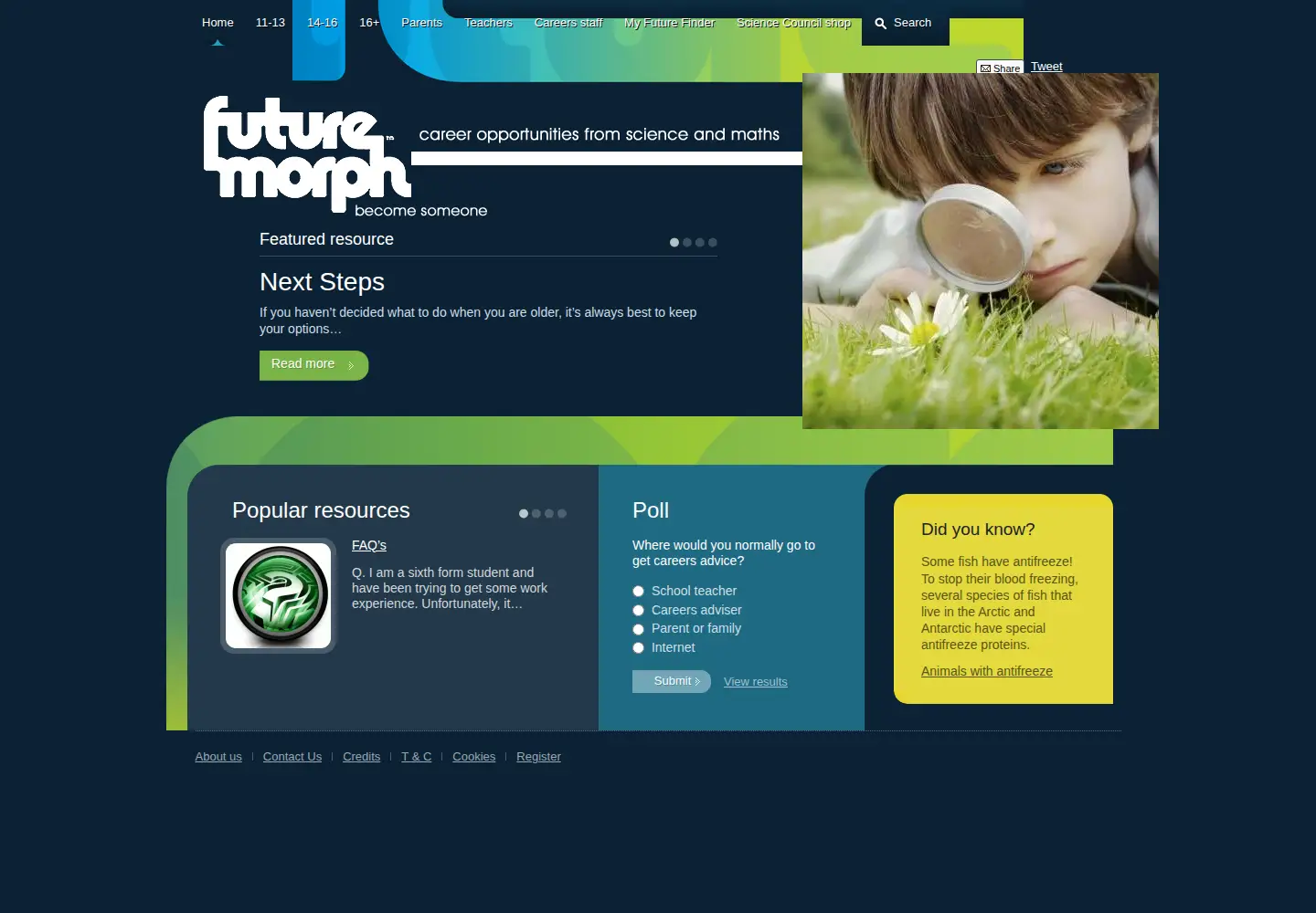 Screenshot of futuremorph.org
