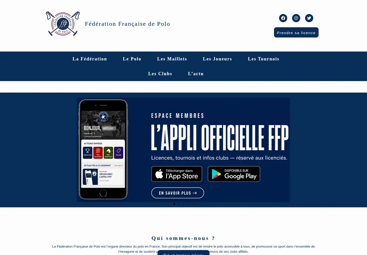 Screenshot of francepolo.com