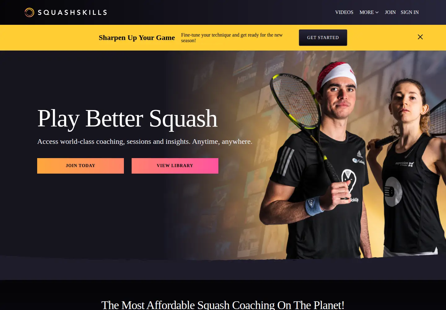 Screenshot of squashskills.com
